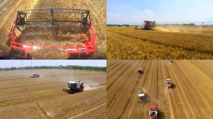 4K航拍农机机械收获小麦