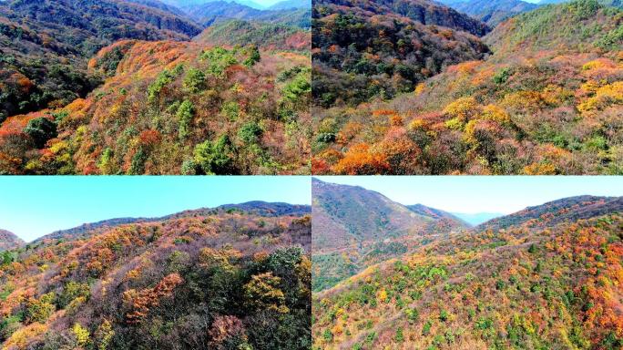 4K 航拍雷公山秋天风光2