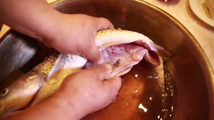 清理鱼鳃鱼肚子鱼内脏 (5)