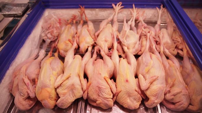 肉类市场超市卖整鸡鸡肉白条鸡 (6)