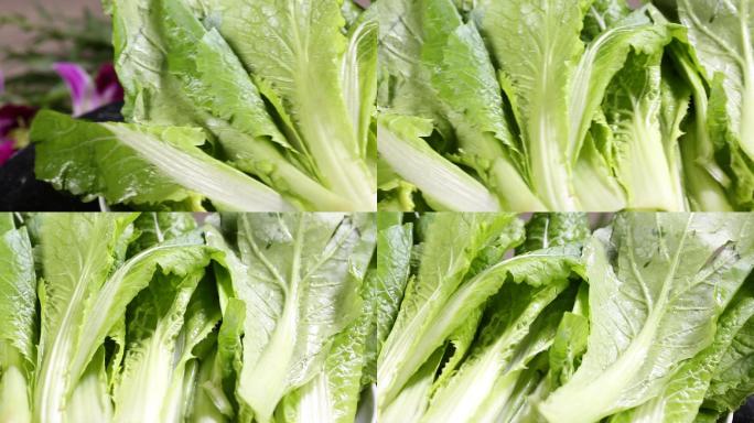 青菜小白菜菜叶叶子蔬菜 (6)