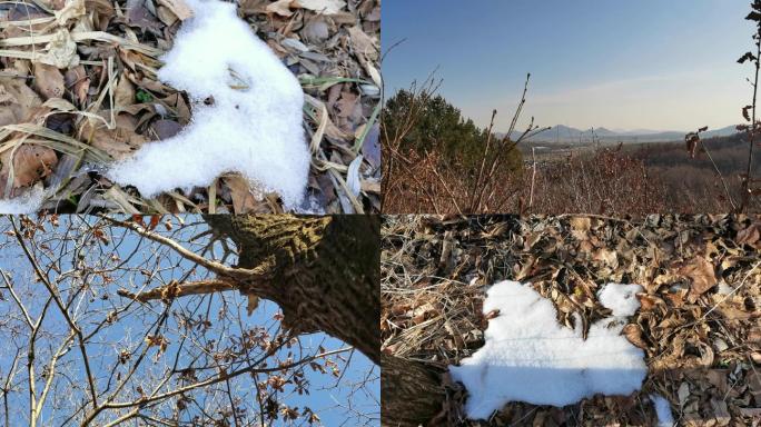 冬季雪后的山野小溪