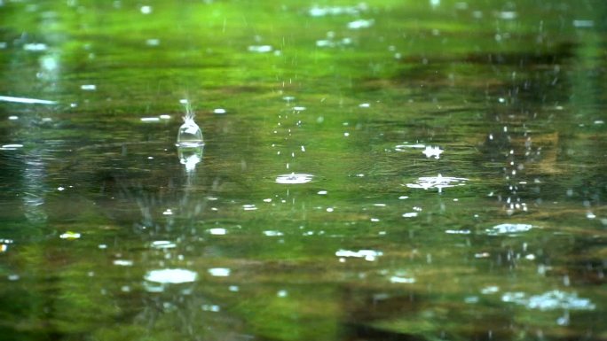 池塘上的雨滴慢镜头