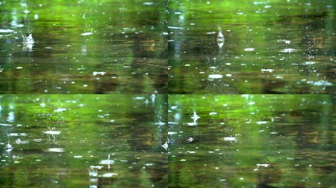 池塘上的雨滴慢镜头