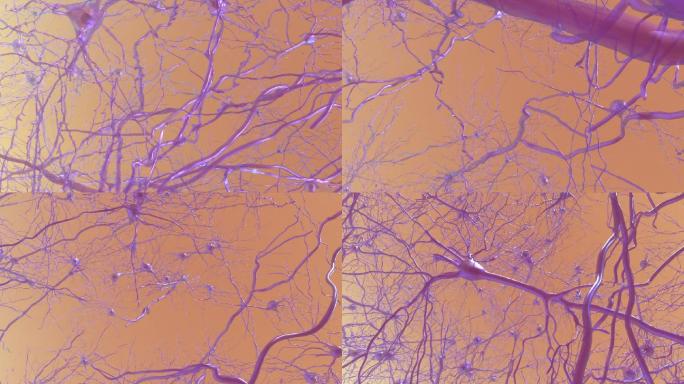 神经细胞网络森林
