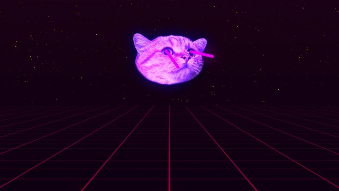 猫脸发射激光
