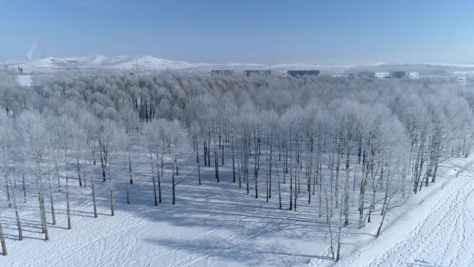 航拍冬季雪地唯美树林雾凇冰花雪松空镜