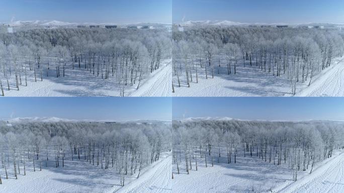 航拍冬季雪地唯美树林雾凇冰花雪松空镜