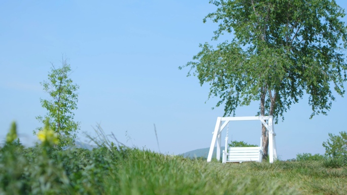 4K日系唯美清新草地白色秋千