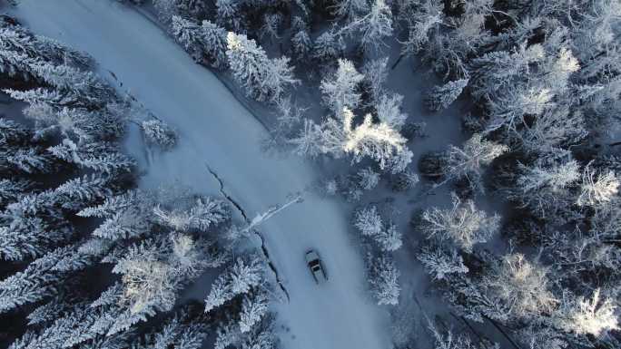新疆喀纳斯冬季冰雪公路 4K实拍