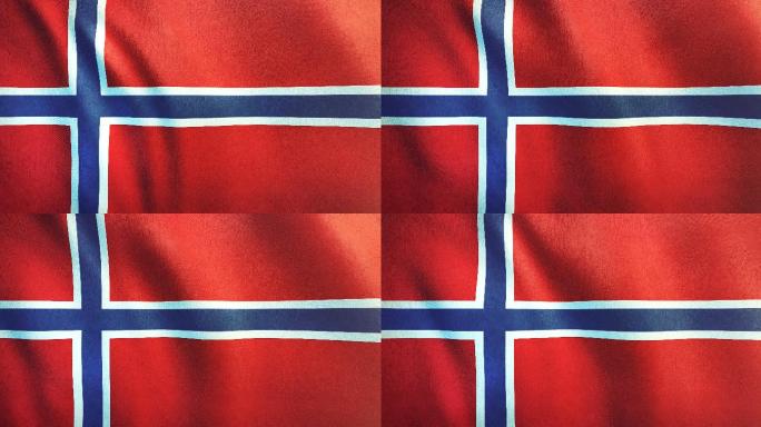 挪威国旗旗帜国旗党政国徽