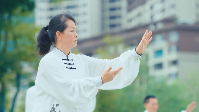 太极公园打太极晨练