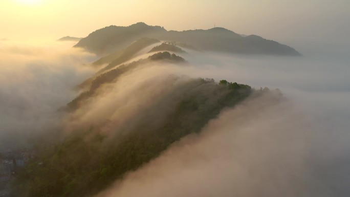 玉环 芦浦 百丈