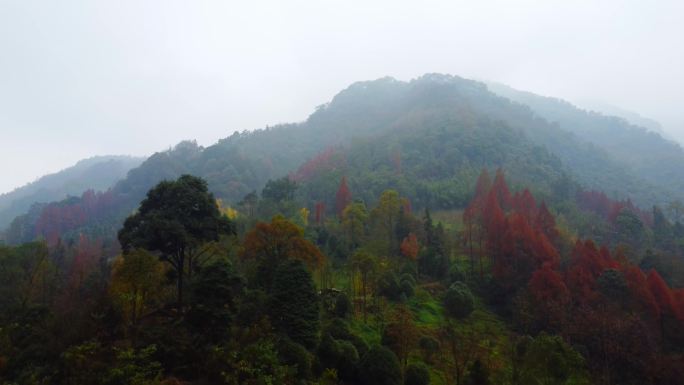 深秋山野  秋染赵公山