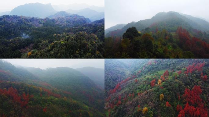 深秋山野  秋染赵公山