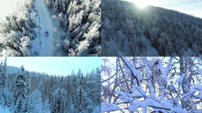 新疆喀纳斯冬季冰海雪原雪松 4K实拍