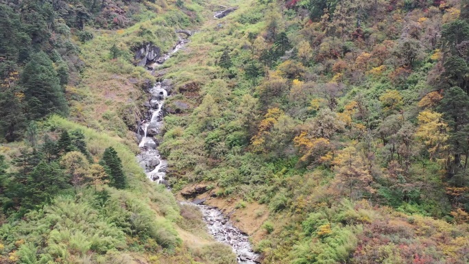 高黎贡山深秋