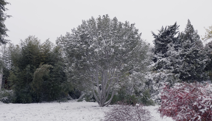 北京冬天下雪天宁静首都行人匆匆玩耍