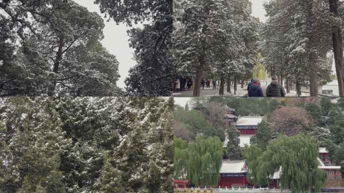 北京冬天下雪天宁静首都行人匆匆玩耍