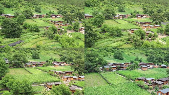 双拉村航拍