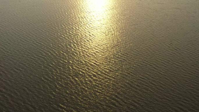 金色波光粼粼的大海航拍4K
