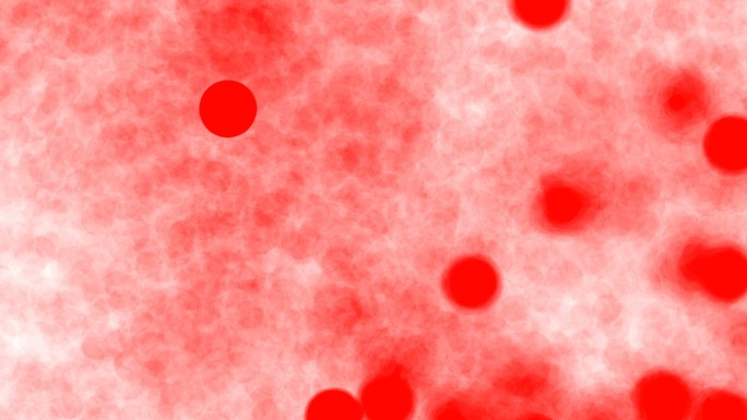 显微镜下动脉中红细胞的运动