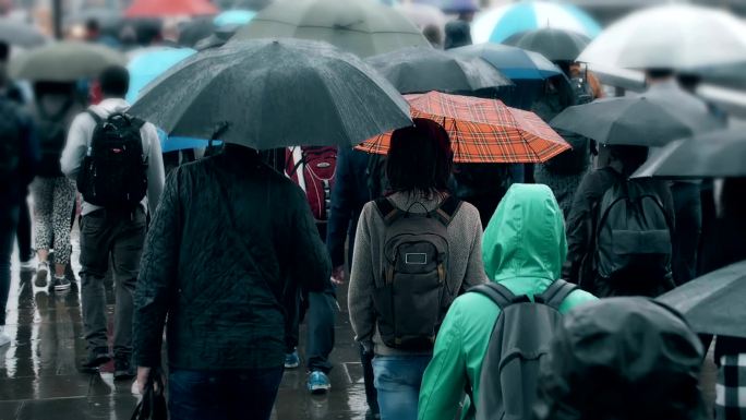一群人拿着雨伞在雨中行走