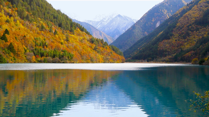 九寨沟树正沟风景