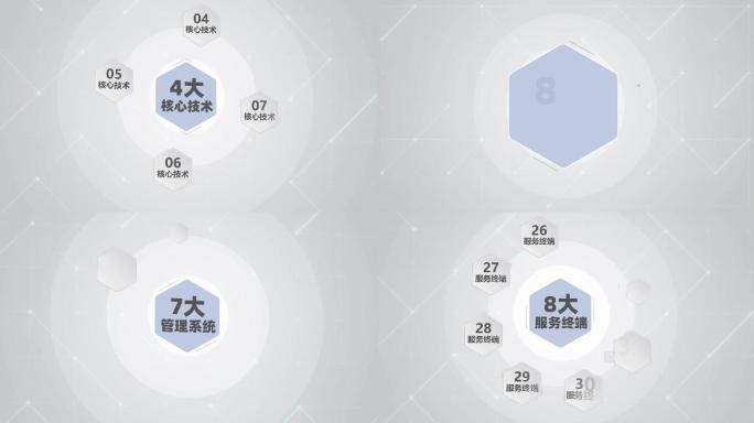 分类信息六边形旋转 简洁商务分支 02