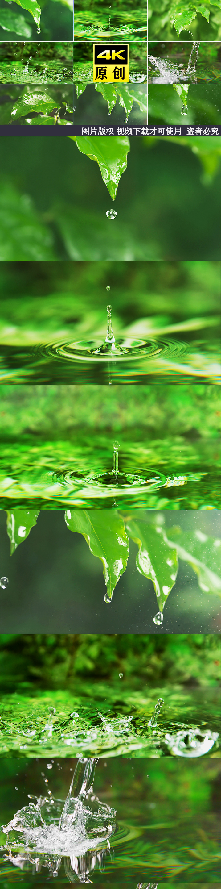 水森林水滴滴水大自然水滴树叶下雨滴森林水