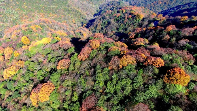 4K 航拍雷公山秋天风光4