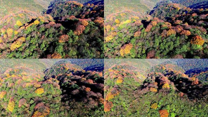 4K 航拍雷公山秋天风光4