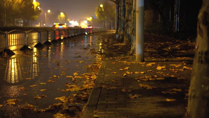 雨夜道路2