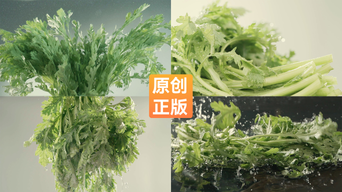 茼蒿蔬菜菊花菜