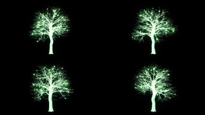 唯美全息发光树4-循环+alpha