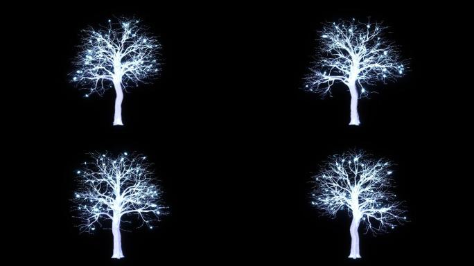 唯美全息发光树1-循环+alpha