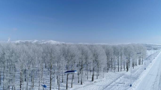 航拍冬季雪地唯美树林雾凇冰花雪松空镜