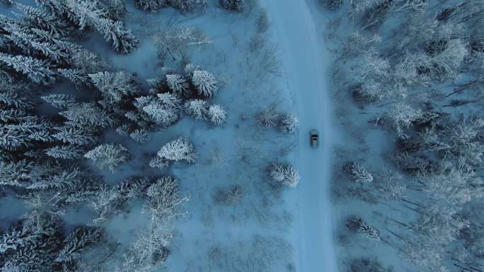 新疆阿勒泰禾木村户外滑雪旅拍