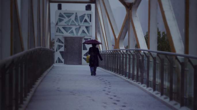 【8K正版素材】自然下雪雪花天桥行人全景