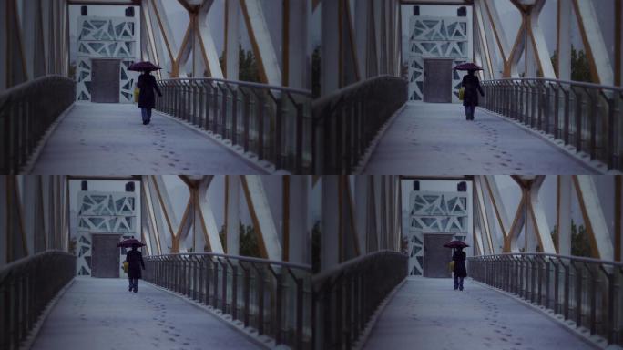 【8K正版素材】自然下雪雪花天桥行人全景
