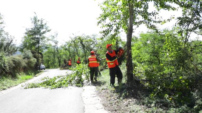 公路养护