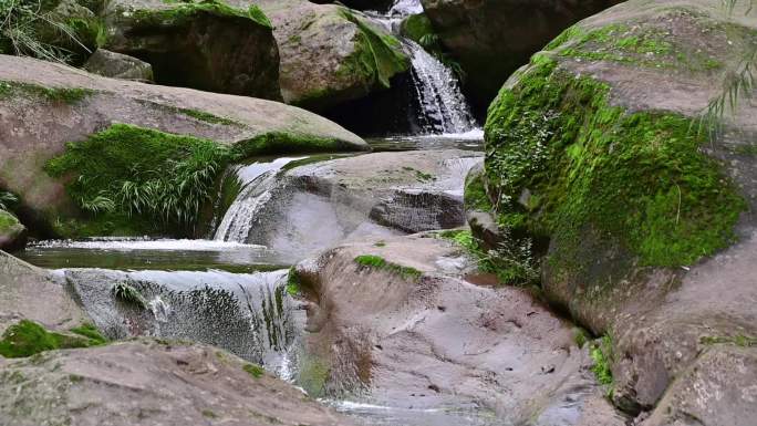 清澈溪水流过长满青苔的石头