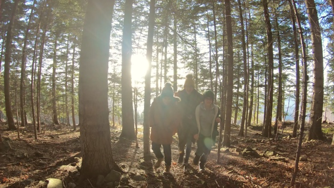 三个孩子在森林里徒步旅行