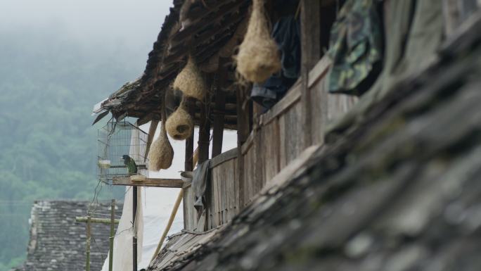云南村庄里屋檐下挂着的鸟窝
