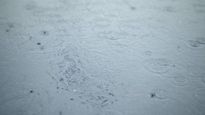 【8K正版素材】自然雨天雨滴中景固定-a