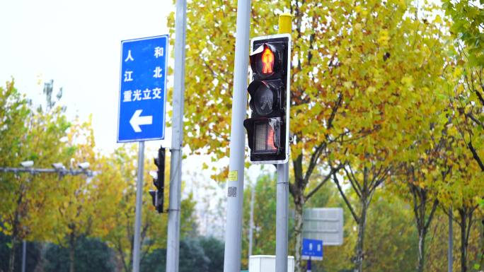 4k下雨天城市开车