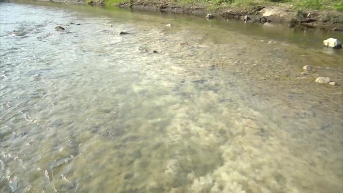 小溪河道污染
