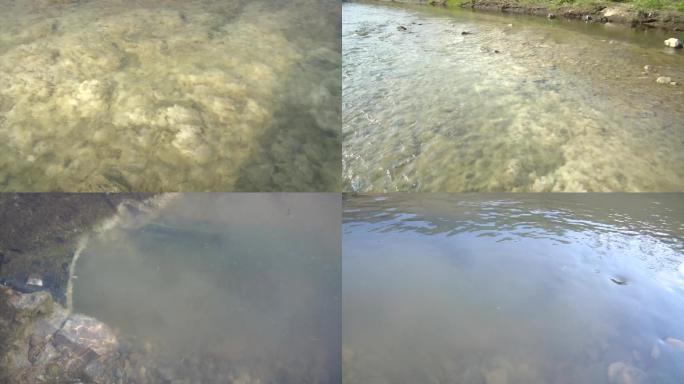 小溪河道污染