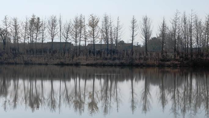 朱家林风光 生活污水处理池