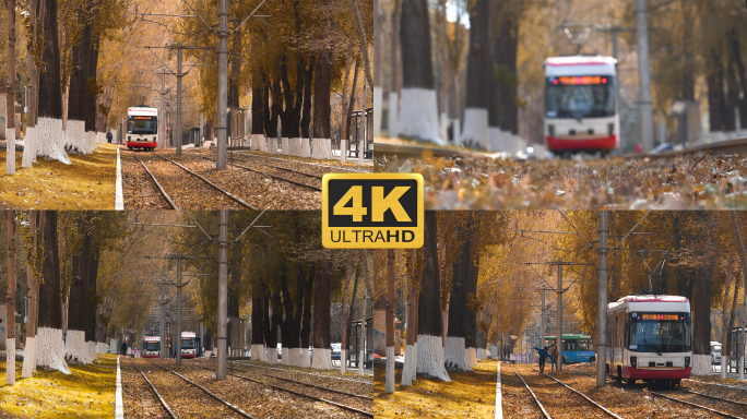4K50帧 有轨电车素材 秋天 54路